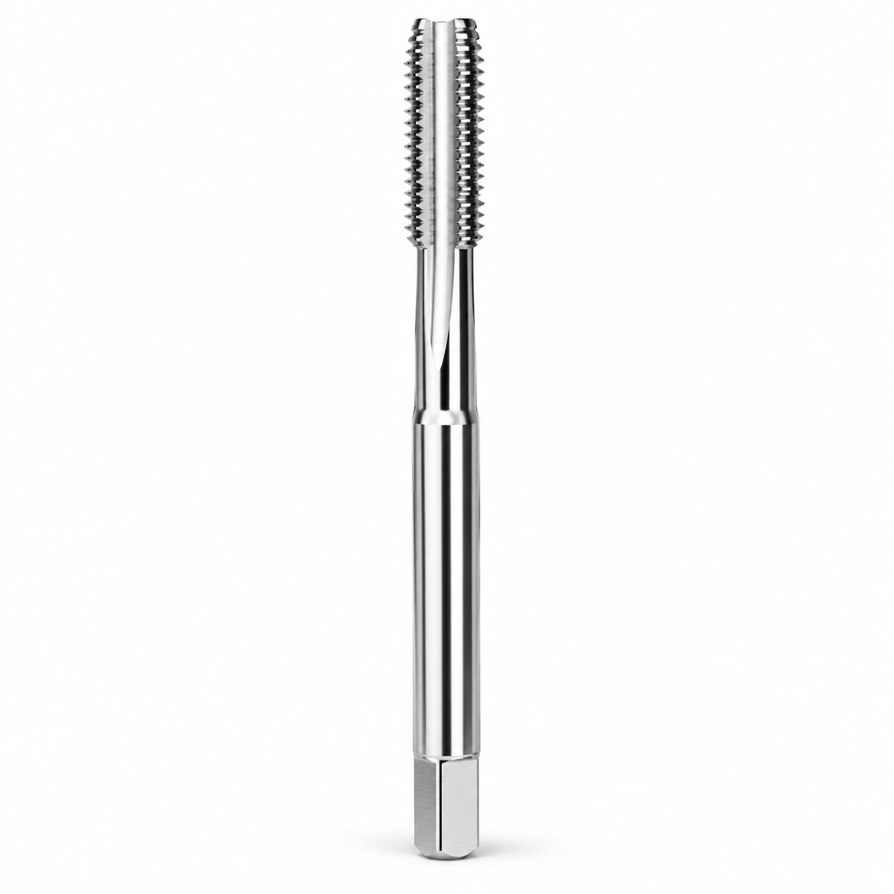 Bright Polished Finish